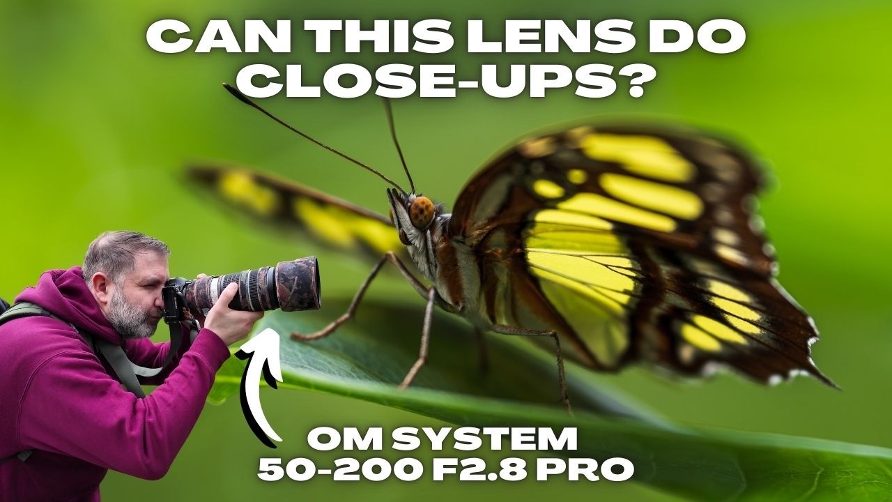 Is the OM System 50-200 f/2.8 PRO Good for Small Subjects?