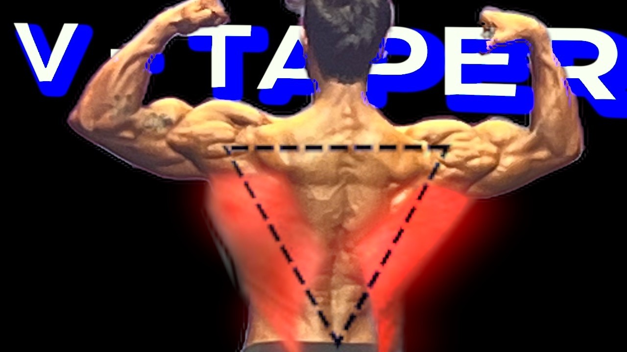 DETAILED BACK TRAINING ( HINDI )