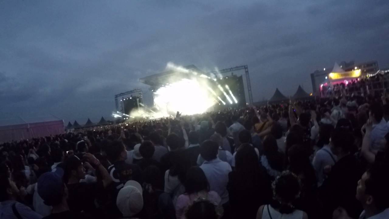 Avicii Japan Tour 2016 in Osaka Part2 [1080 60fps ]