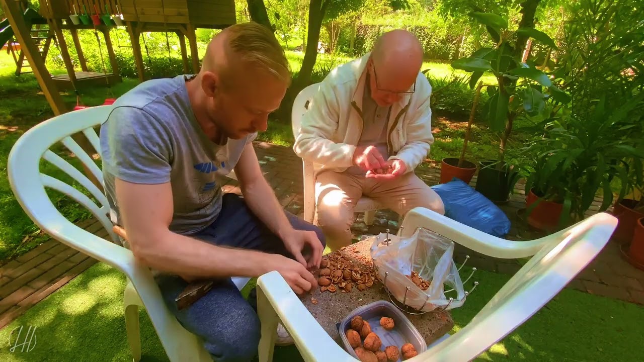 Cracking Walnuts with My Dad in Radzymin 🌰👨‍👦