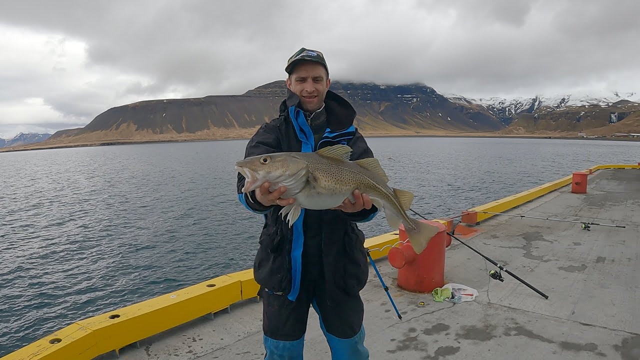 JAK ZŁOWIĆ DORSZA Z BRZEGU I JAK ZROBIĆ ZESTAW ?