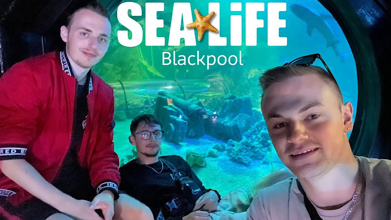 SEA LIFE Blackpool Vlog June 2023