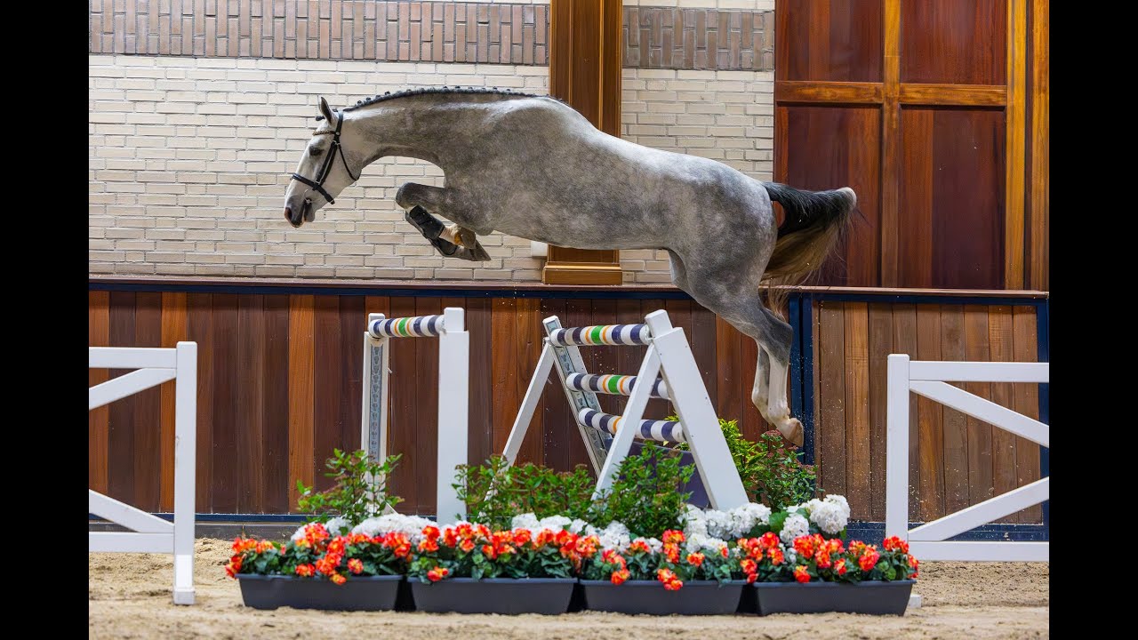 Ritchie (Etoulon x Dakar)