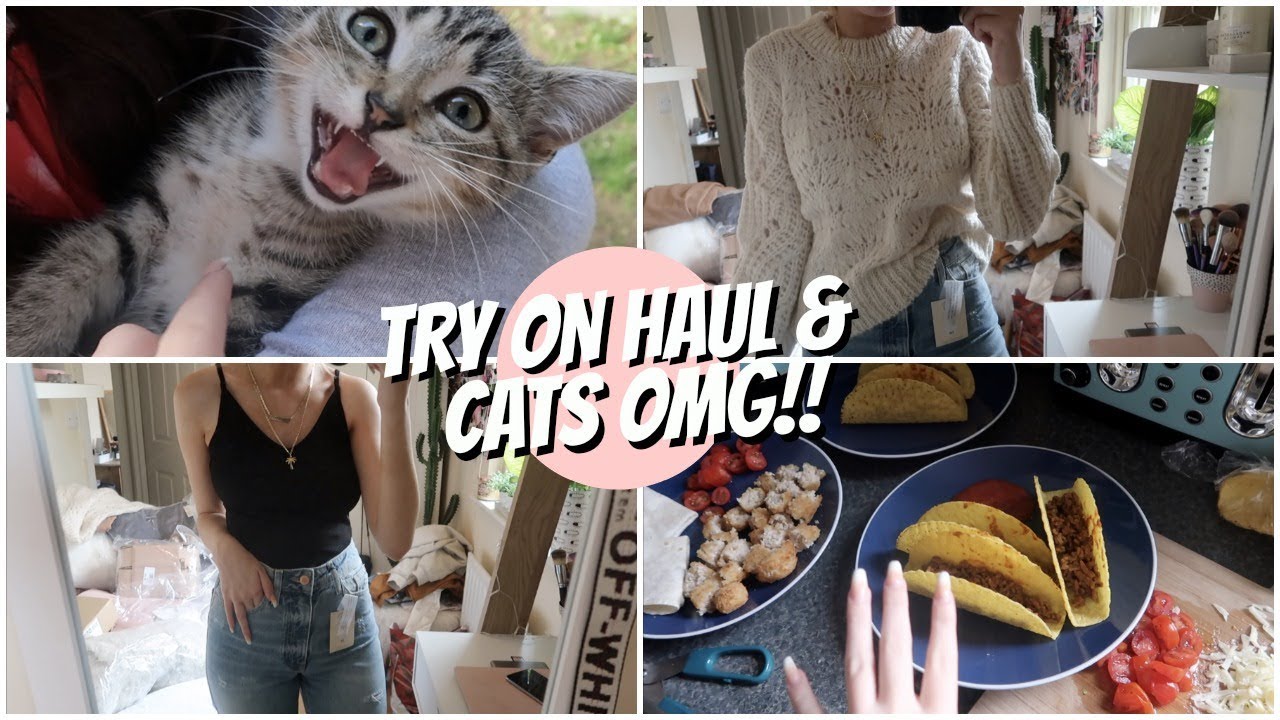 I GOT TO STROKE HIM!! KITTENS & TRY ON HAULS!
