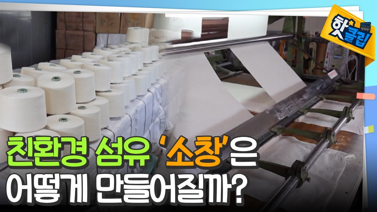 목화로 만드는 천연섬유, 소창! [#핫클립] / YTN 사이언스