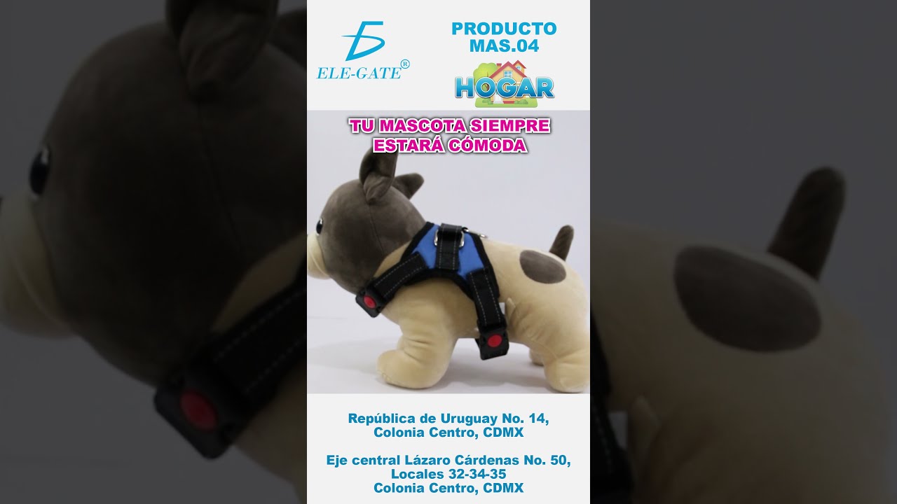 Pechera ajustable para perro