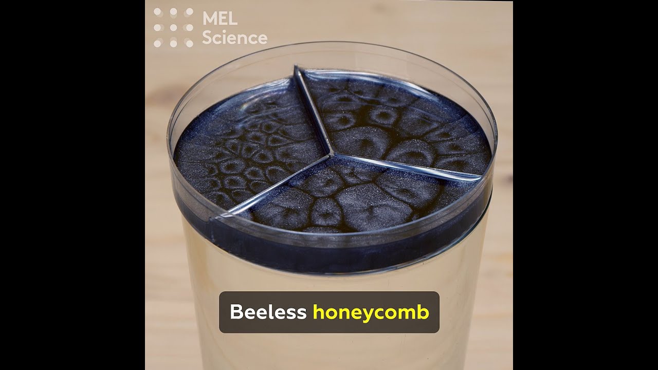 Beeless honeycomb