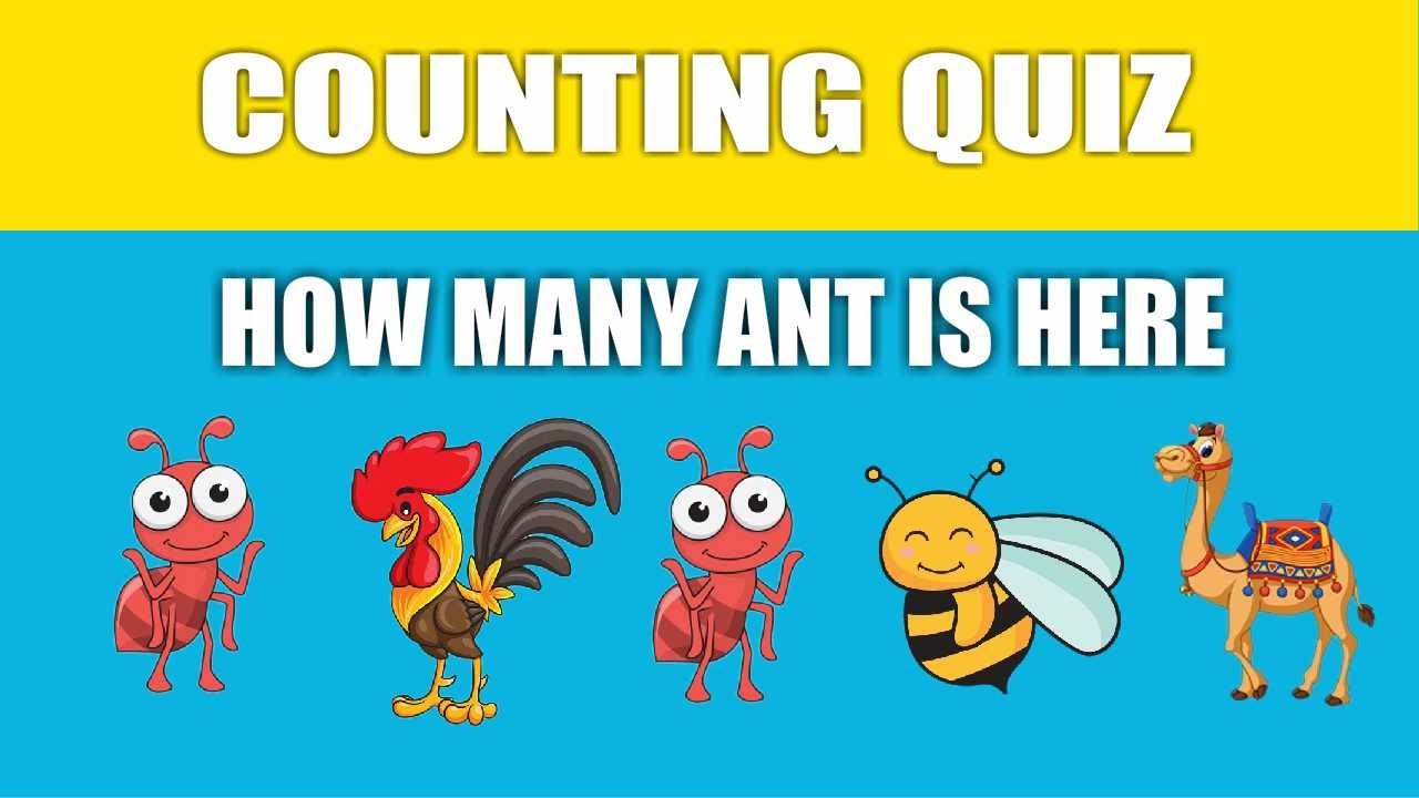 How Many? Counting Quiz - Game for Kids Numbers Kindergarten Preschoolers - Mathematics