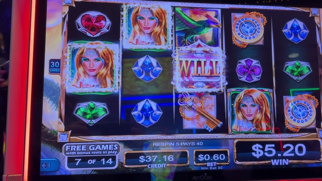 First Spin Bonus Bonus Bonus. MO Mummy, 888 Pots and more