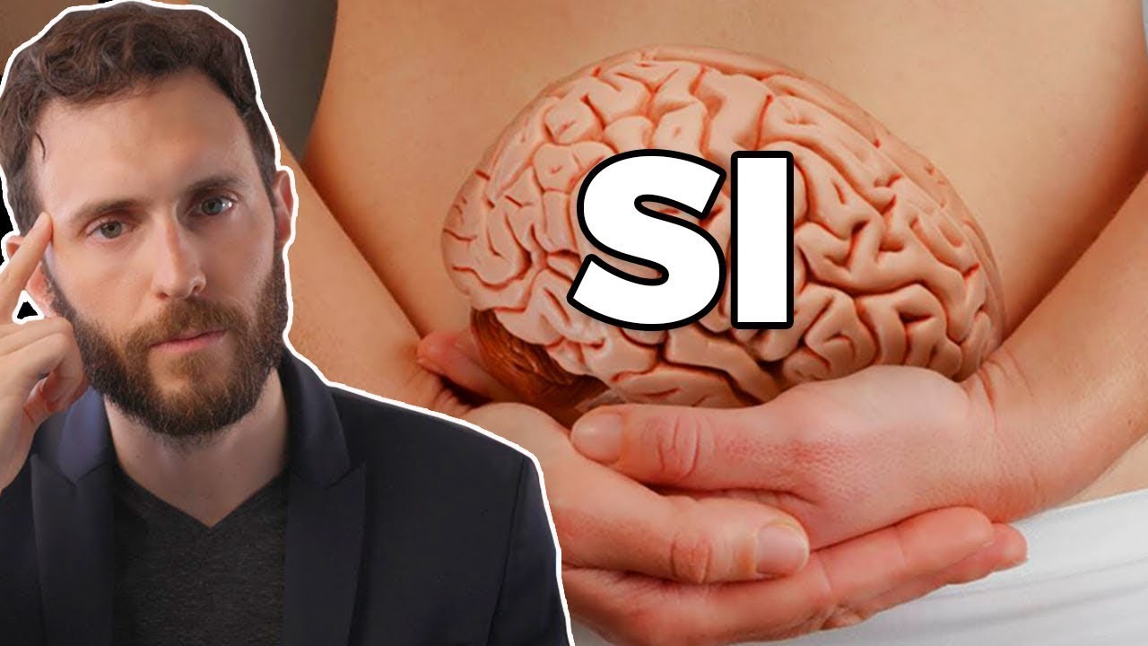 Tienes un SEGUNDO CEREBRO?