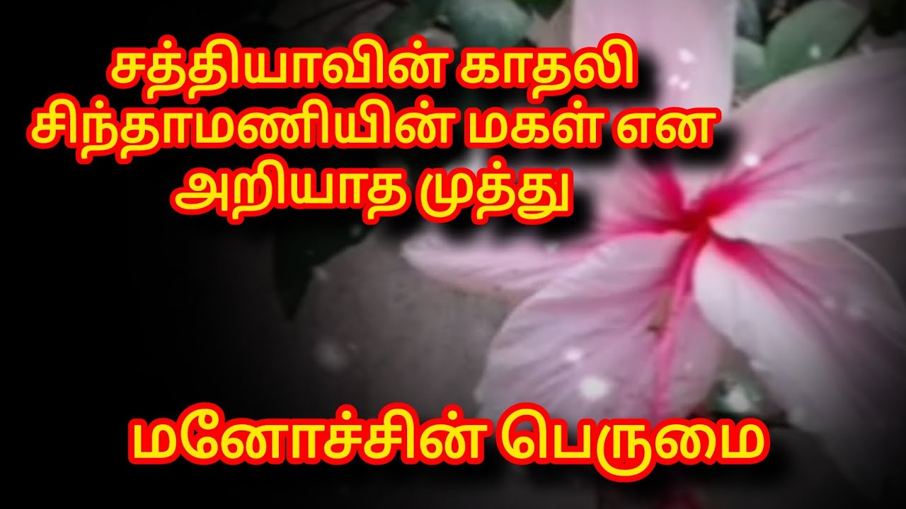 Siragadikka Aasai Prediction |14th March 2026|மனோச்சின் பெருமை |என் கணிப்பு  