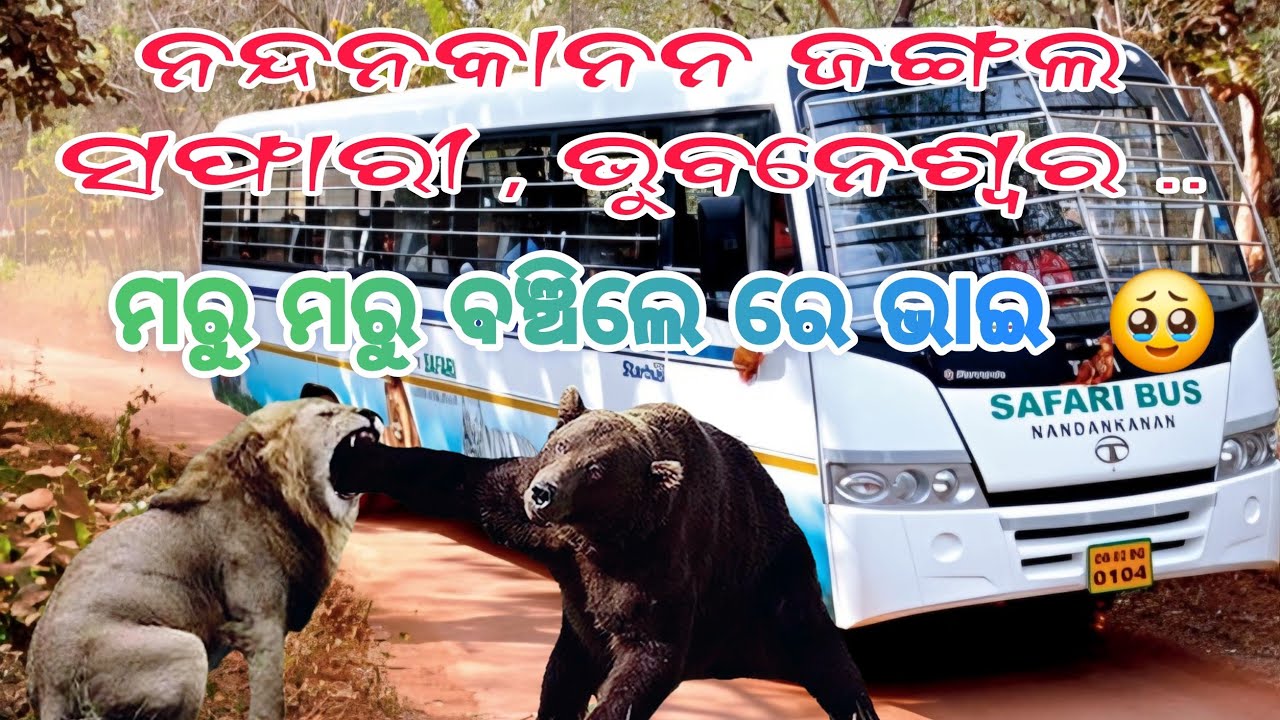 ମରୁ ମରୁ ବଞ୍ଚିଲେ ରେ ଭାଇ || Nandankanan Jungle Safari || Nandankanan Zoo Safari #nandankanan