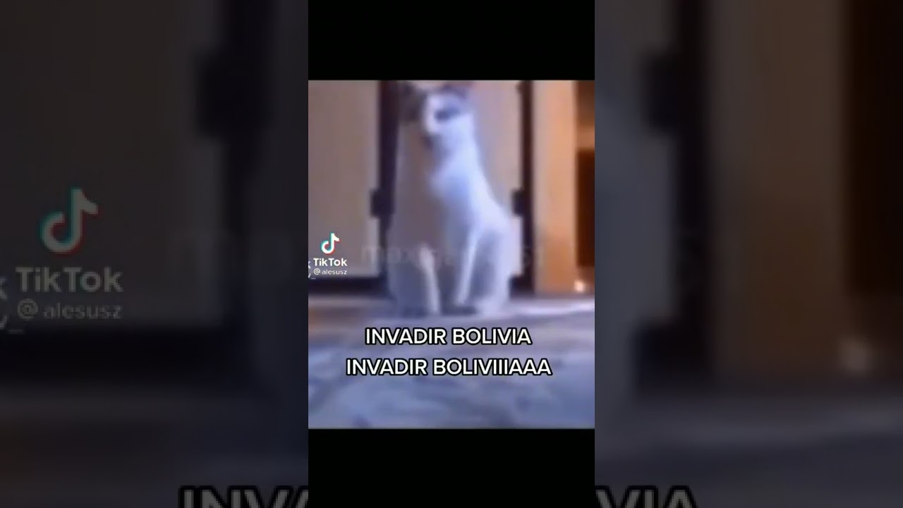 invadir Bolivia meme