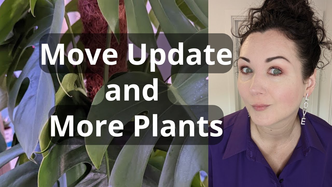 Life Vlog: Move Update and More Plants!