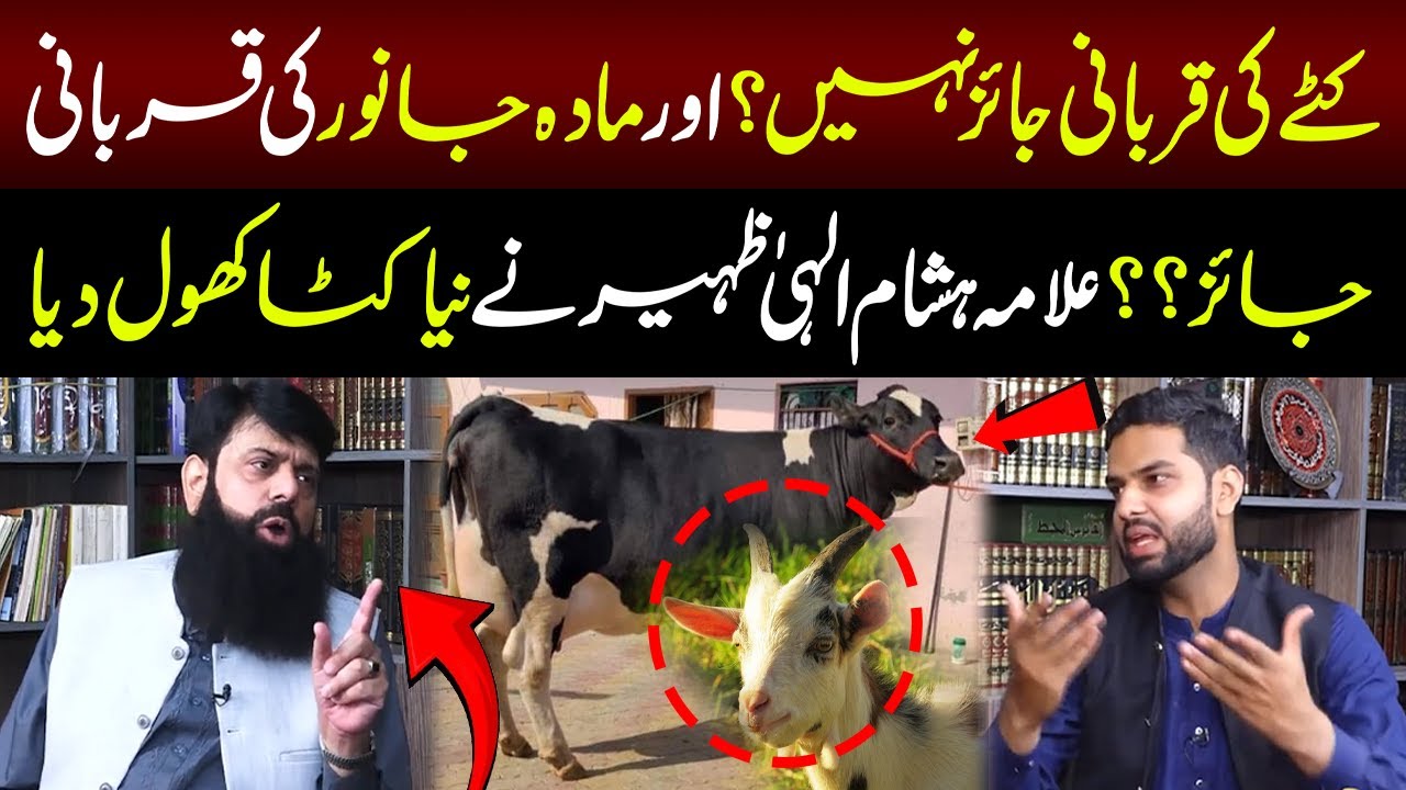 Kattey Ki Qurbani Jaiz Nhi? | Allama Hisham Elahi Zaheer Nay Niya Katta Khol Dia | Lahore Puchta Hai