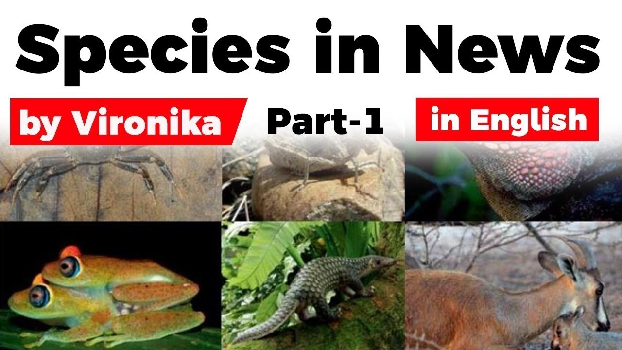Important Species recently news, Know their unique features & reasons why they are under threat #1