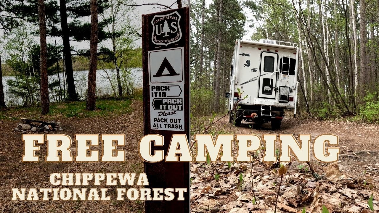 Truck Camping in a National Forest Campground