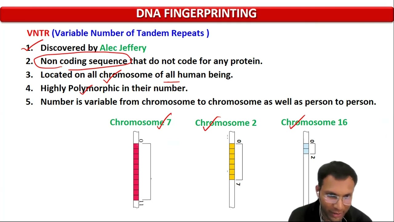 19. DNA Fingerprinting 2