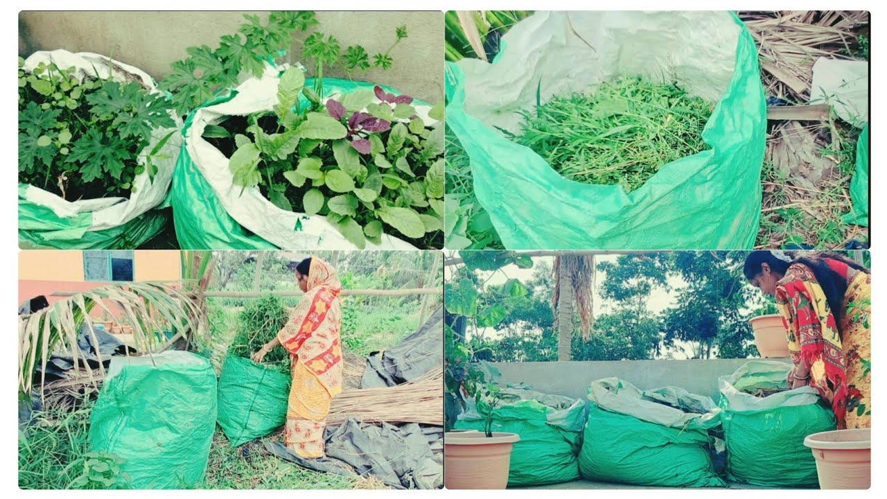 ছাদবাগানে সম্পূর্ণ মাটি বিহীন এতো বড় সবজির বেড কিভাবে তৈরি করলাম/ বিনা সারেই কিভাবে হচ্ছে এতো সবজি