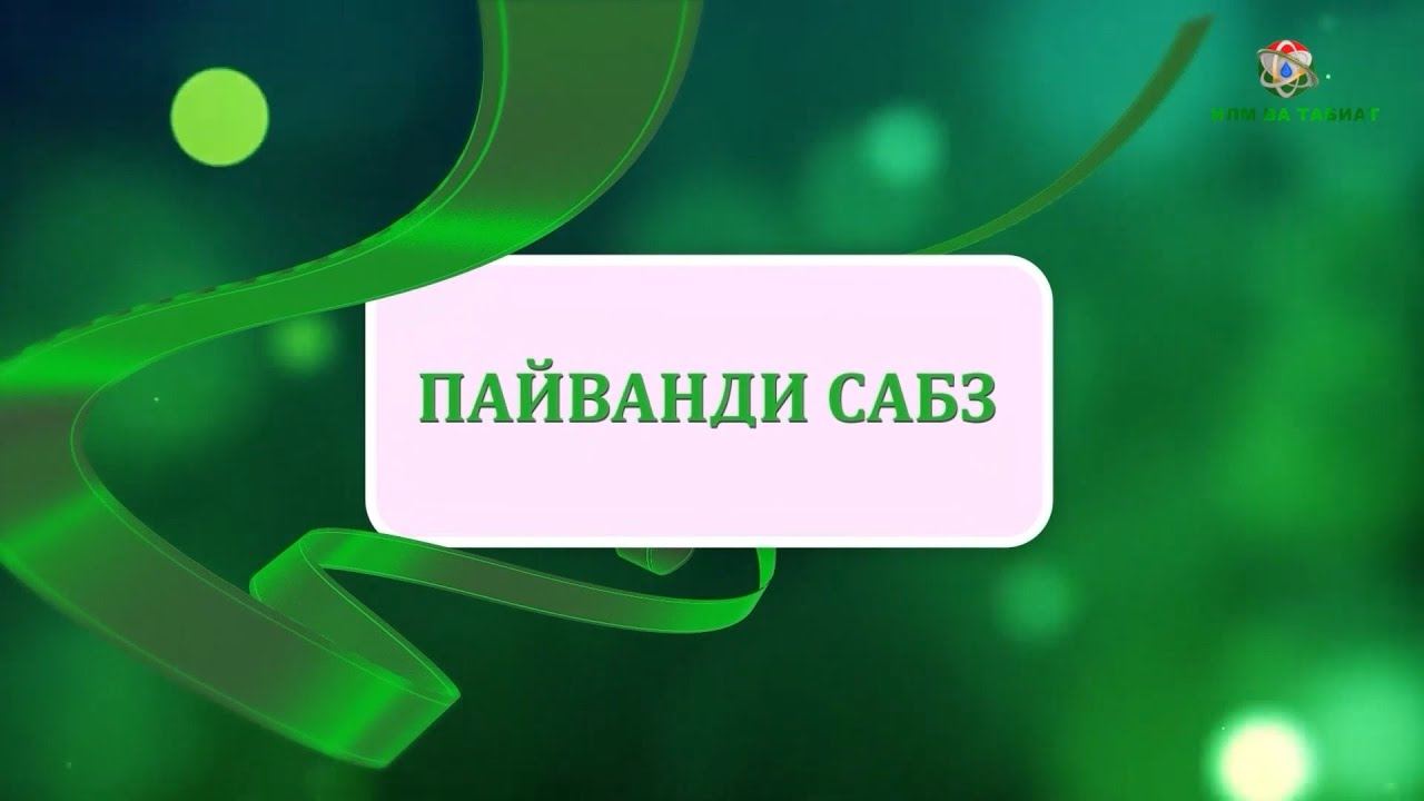 Пайванди сабз Назарзода