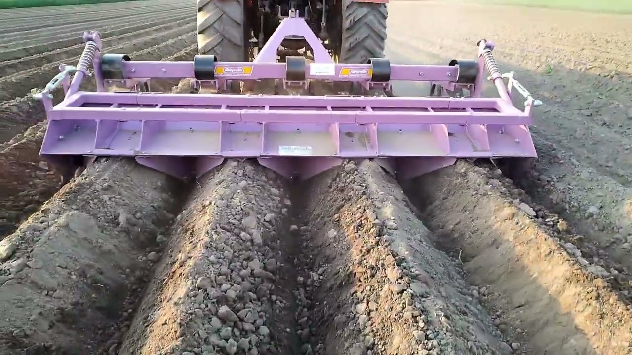Formowanie Ziemniaków 🥔🌱ZETOR 7711.