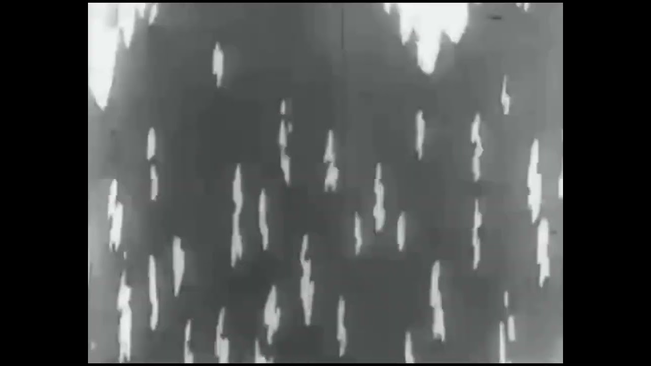 Bosko shipwrecked! (1931) - rare kit parker films titles