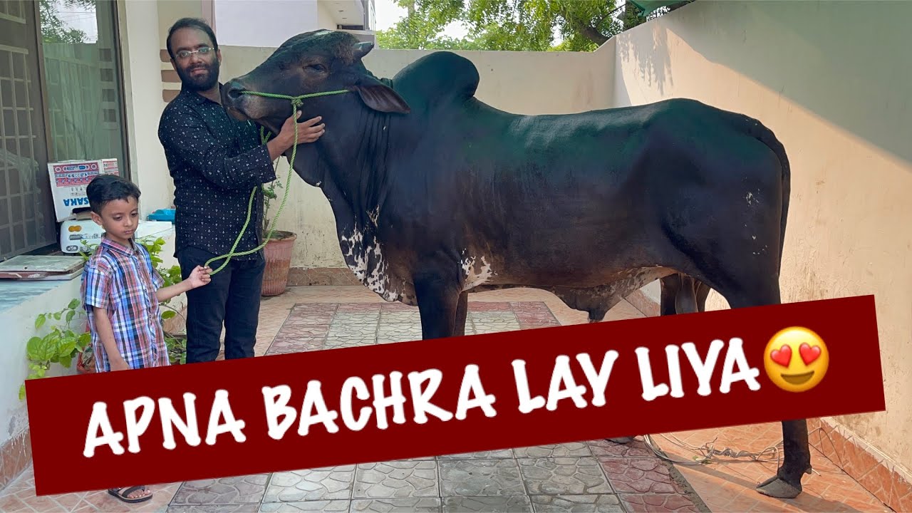 APNA BACHRA LAY LIYA😍