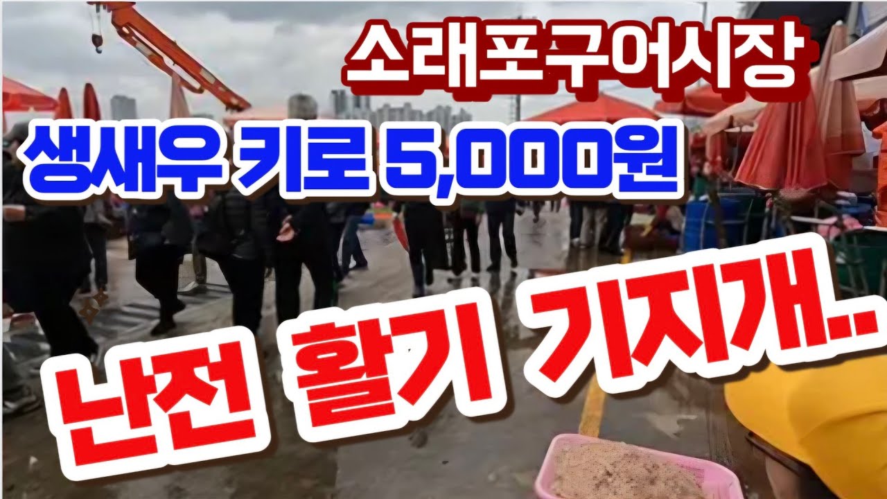 소래포구 난전 활기 기지개 펴다/생새우 키로 5,000원.