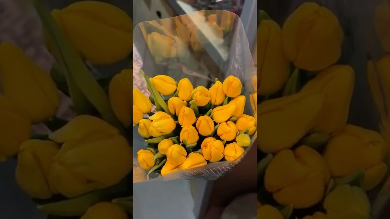 ‼️FOUND 1.7🍋TULIPS. Buy 25+ for 65₽. Wholesale warehouse in Moscow.