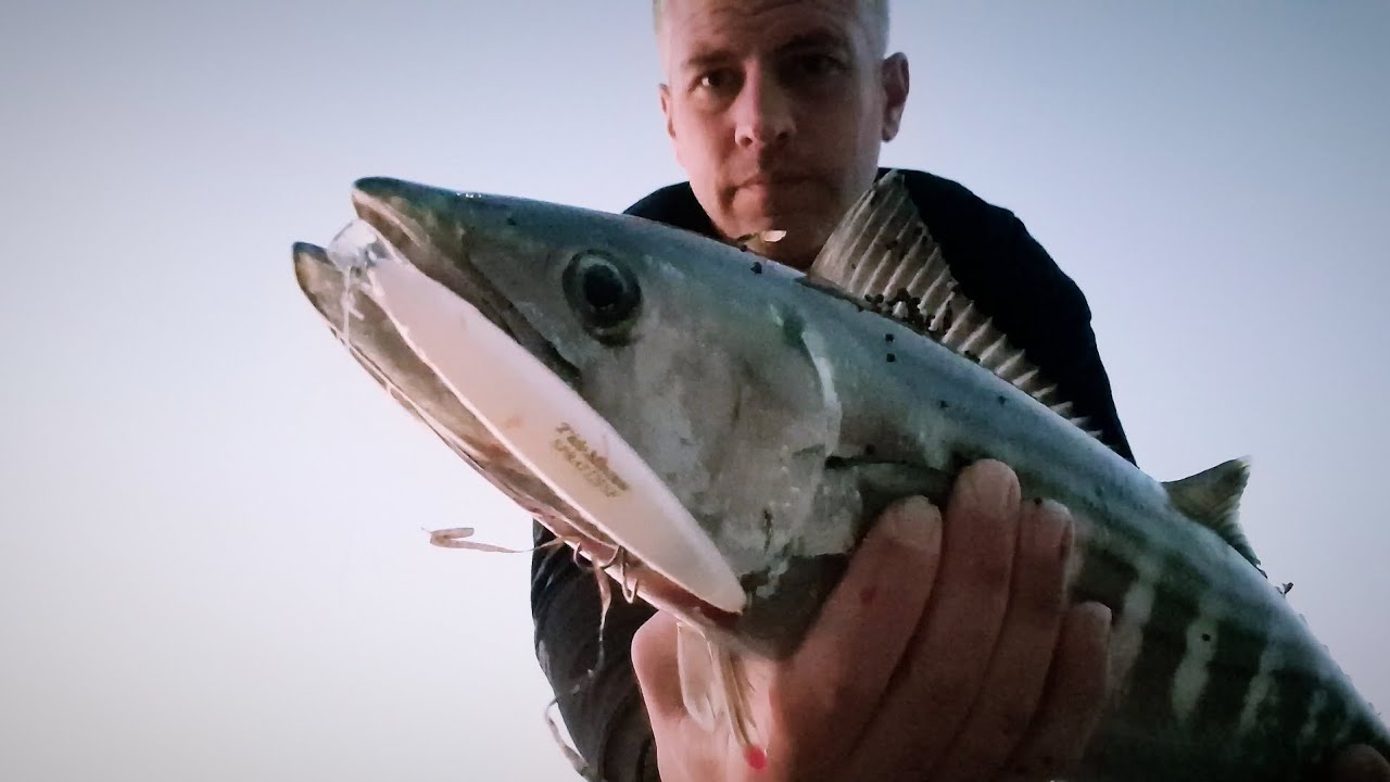Bonito & Mahi Mahi with Medium Spinning