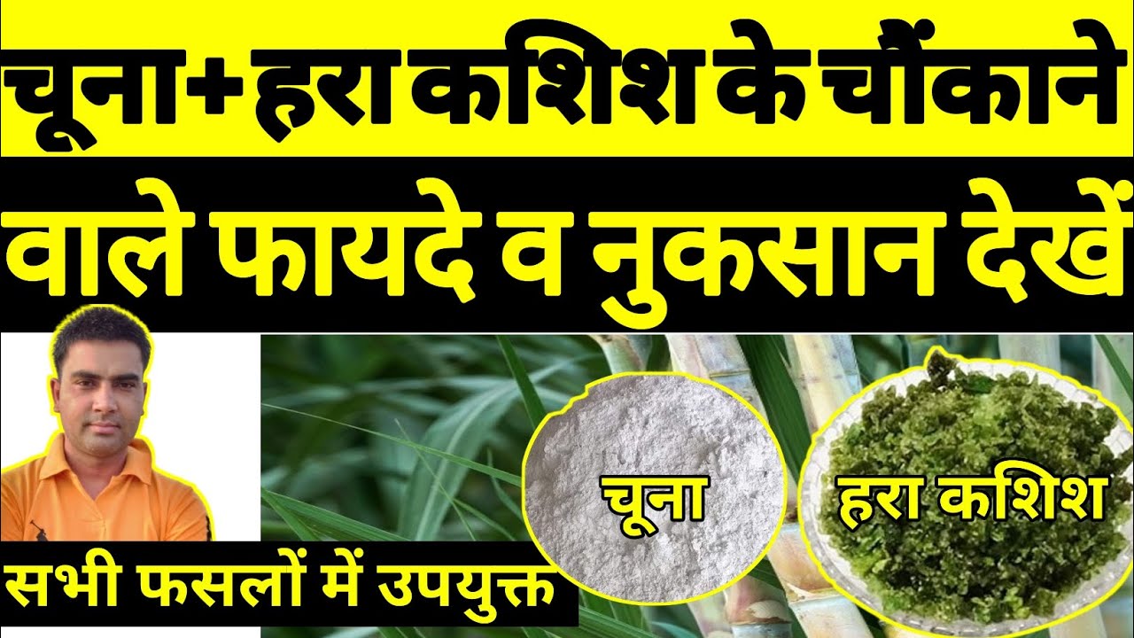 चूना + हरा कशिश के चमत्कार । कैल्शियम व फेरस सल्फेट के चौंकाने वाले फायदे । calcium+ferrous uses ।