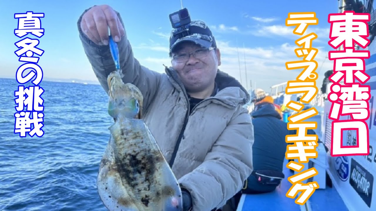 【ティップランエギング】三浦 剣崎発 東京湾口 アオリイカ キロアップを狙え！
