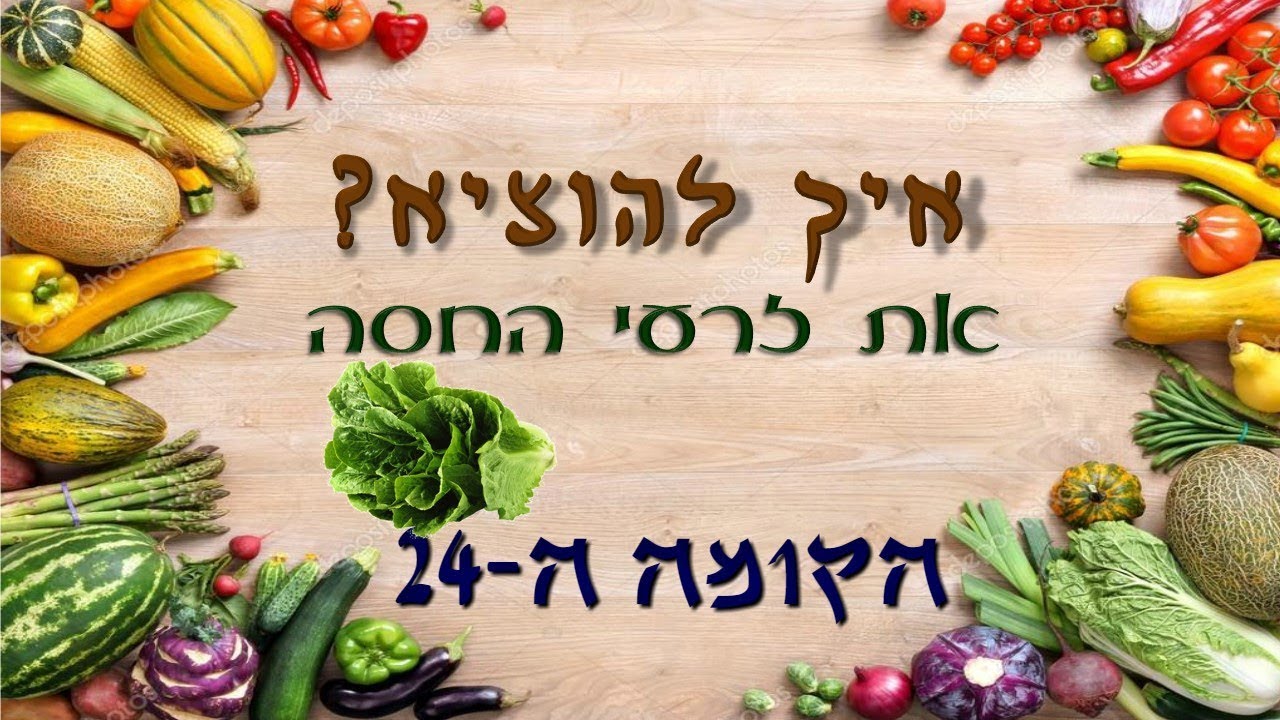 איך להוציא את זרעי החסה?