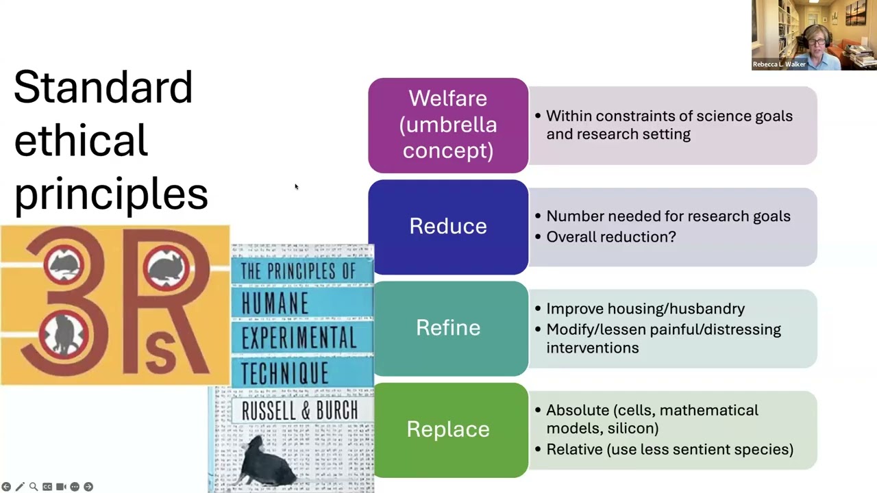 Ethics of Animal Research | Bioethics Interest Group (BIG) Webinar