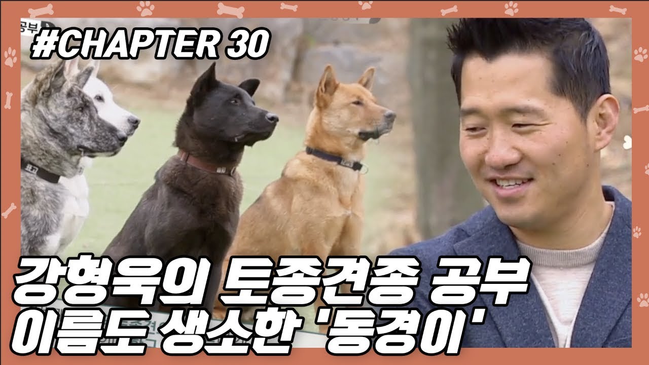 CHAPTER 30 | 강형욱의 견종공부!! 이름도 생소한 토종견 '동경이' #강형욱 #개통령 #개훈련사 [개는 훌륭하다] ㅣ KBS방송