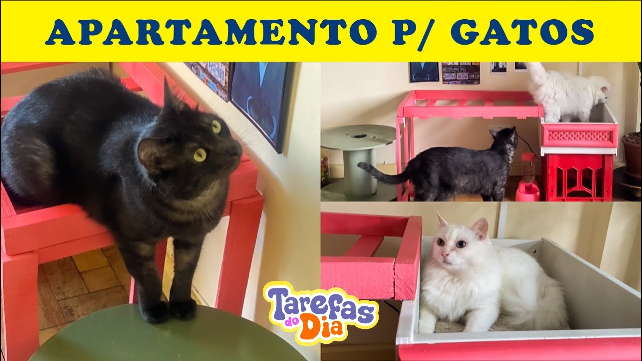 😻 ELES AMARAM! Criei um mini apartamento para os meus gatos - Tarefas Reforma 005