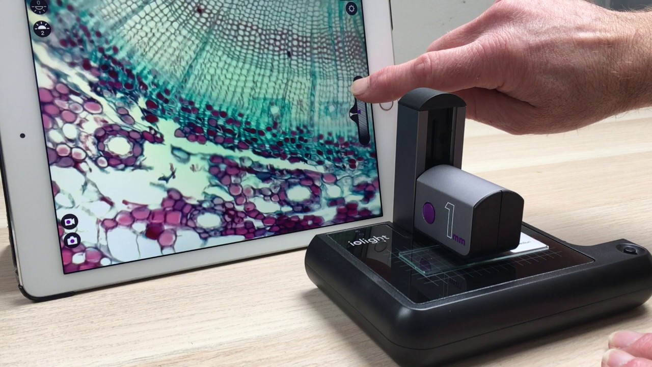 Focusing the ioLight microscope
