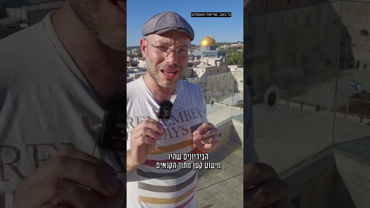 ט' באב. שריפת האסמים ע