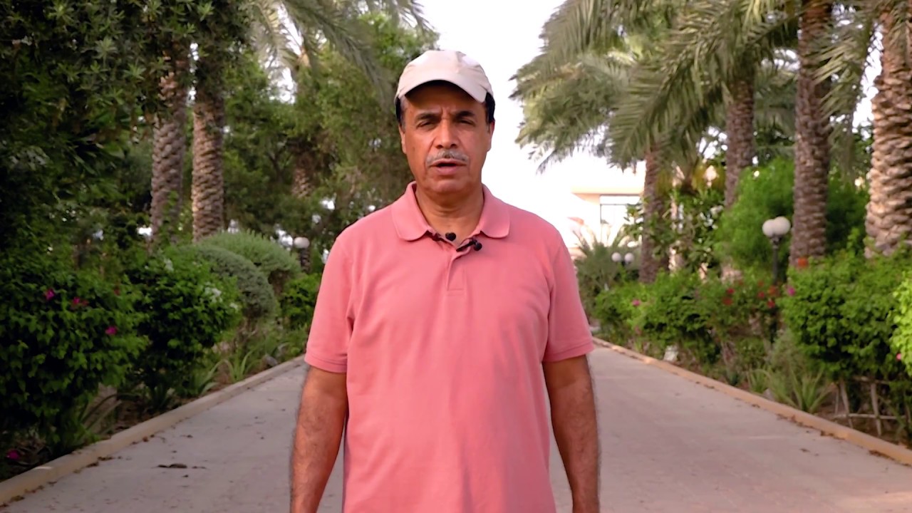 زراعة اشجار الجيكو
