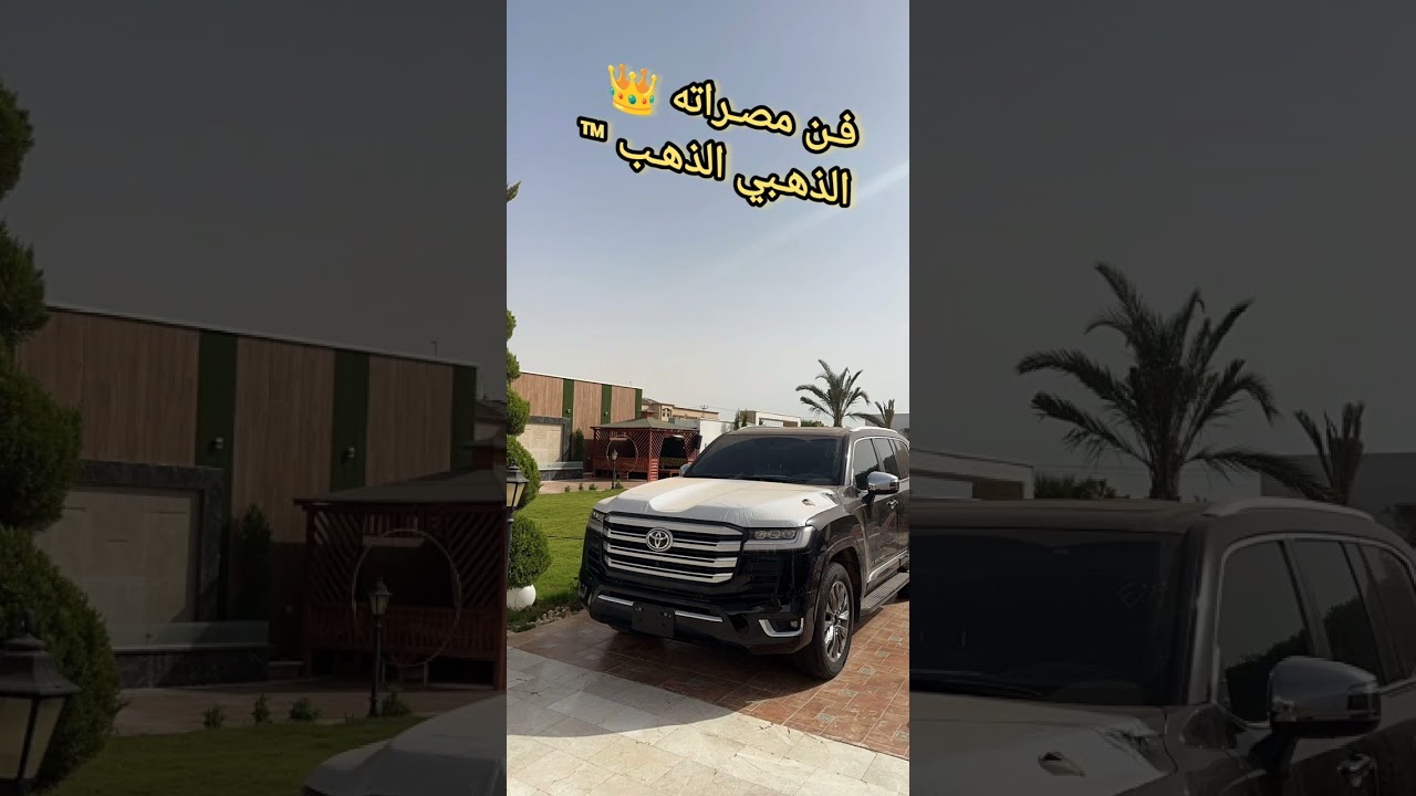 فـن مطريشي 1 جديد