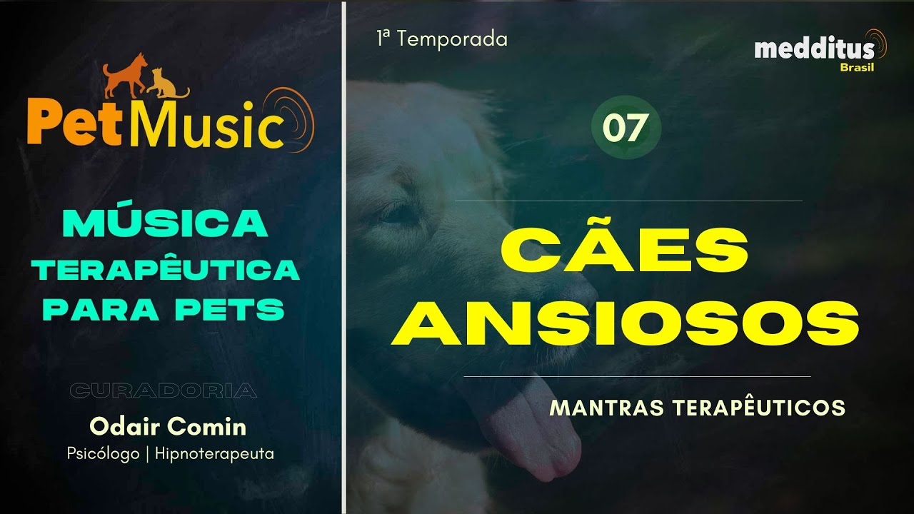Música para Cachorros Ansiosos | Mantra Terapêutico