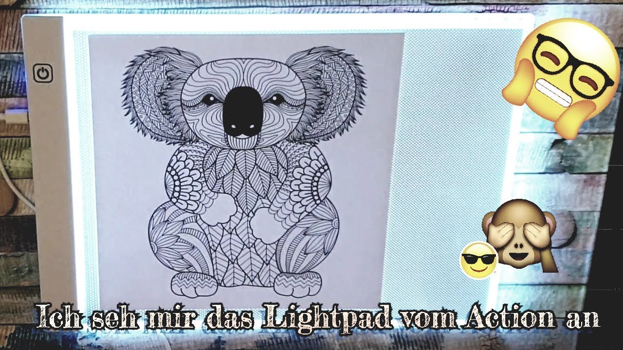Ich zeige euch... ACTION Lightpad | Frau Pech | #6
