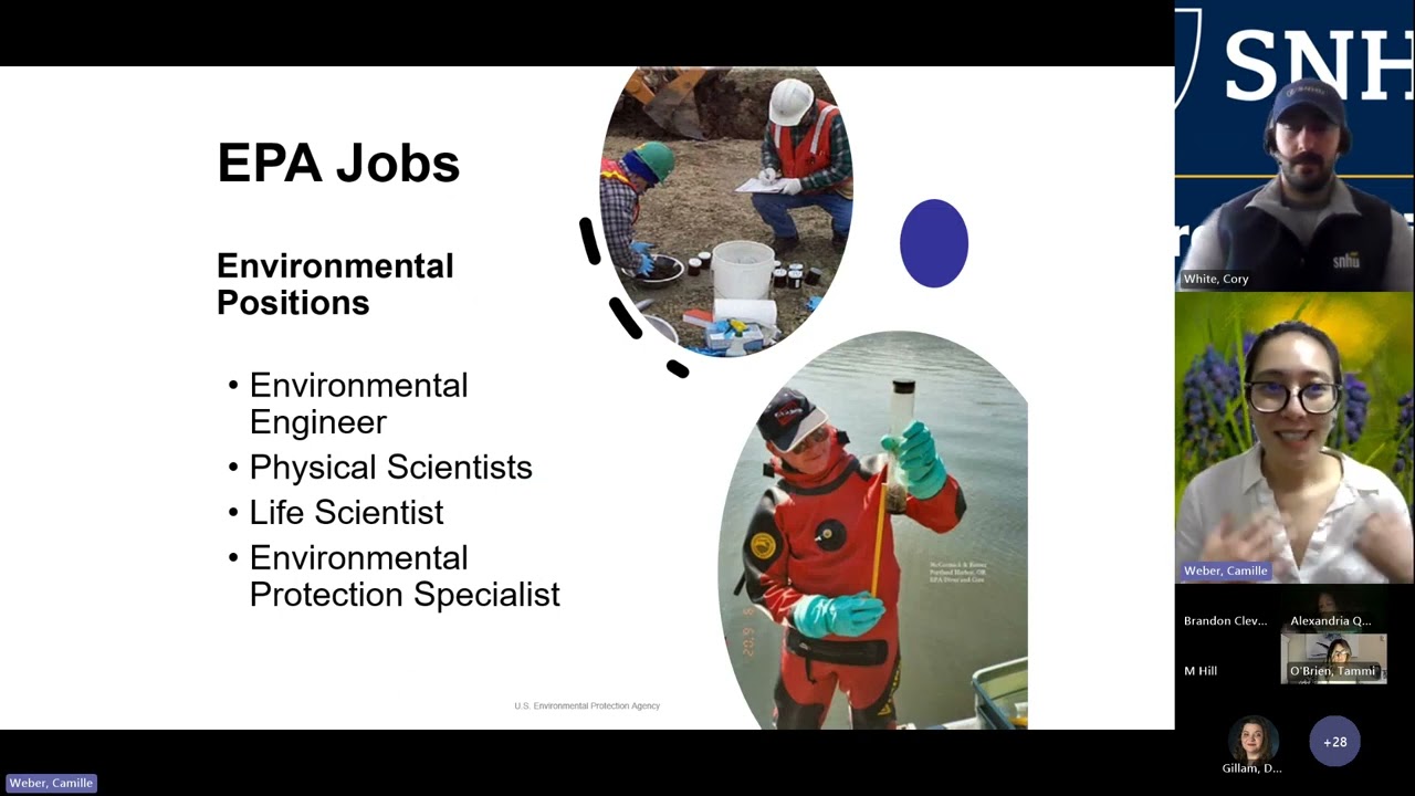 Branching Out: Navigating Federal Job Opportunities in Environmental Science