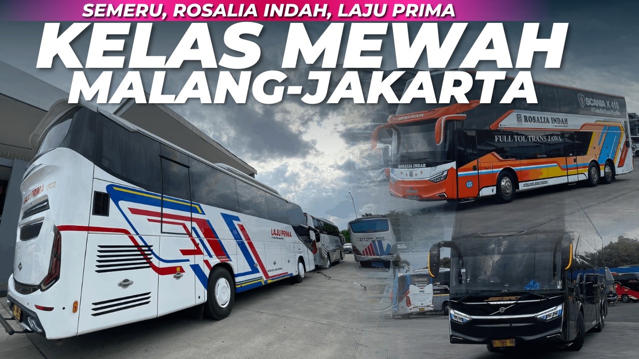 Bus Laju Prima 272 | Semeru “Seoul” | Rosalia Indah Malang - Jakarta Berangkat dari Arjosari
