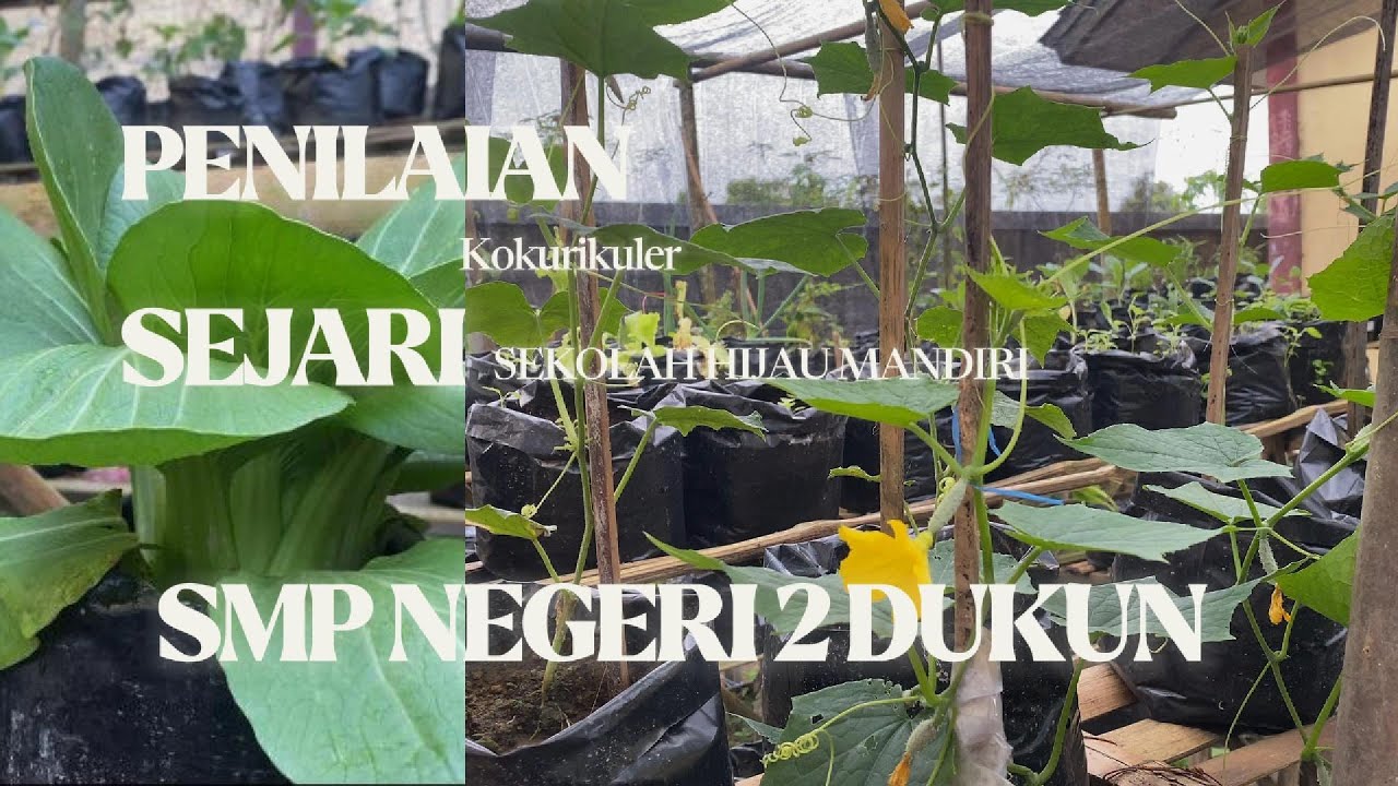 Penilaian dan Refleksi Kokurikuler SEJARI 2025