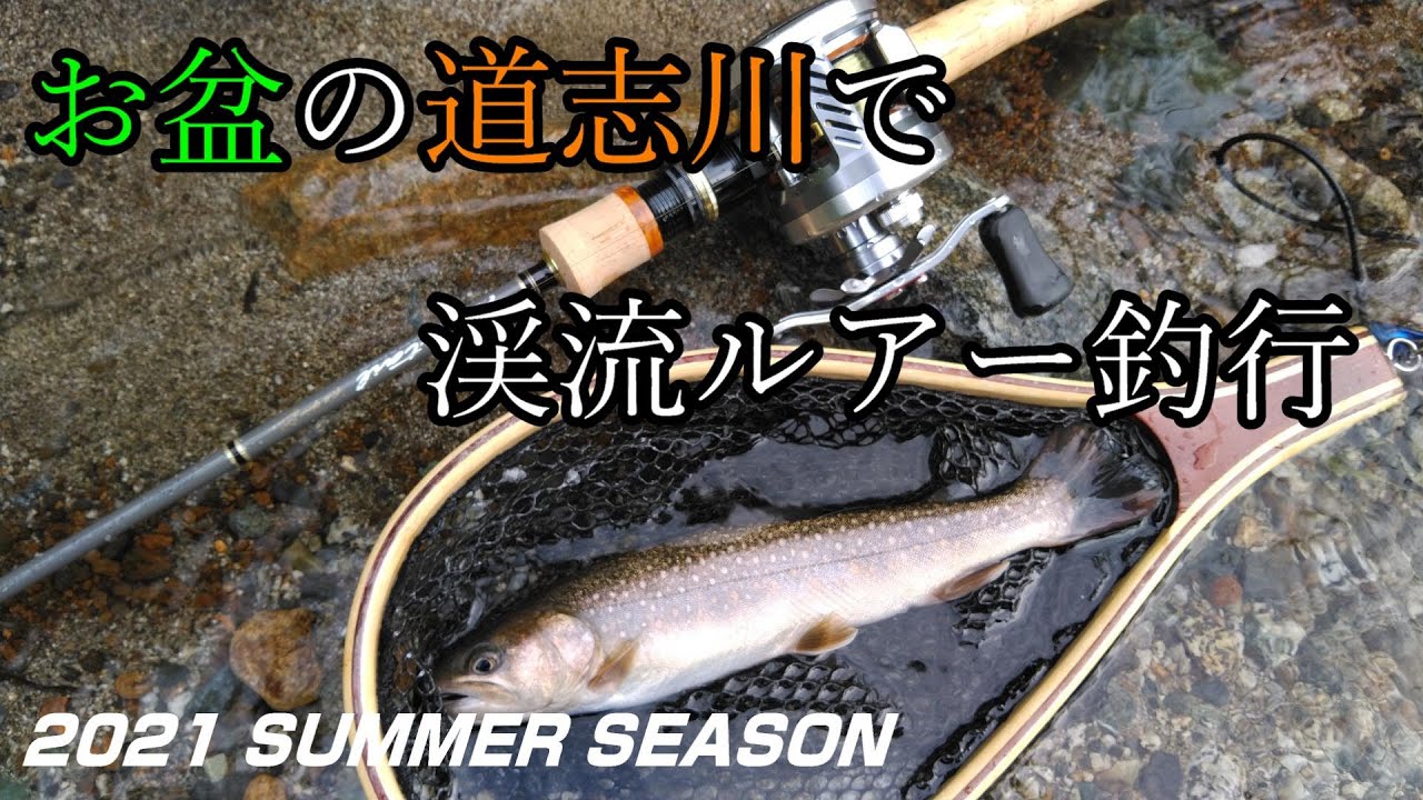 【渓流ベイト】お盆の道志川で渓流ルアー釣行【ファインテールグラス×ミリオネアCTSV】