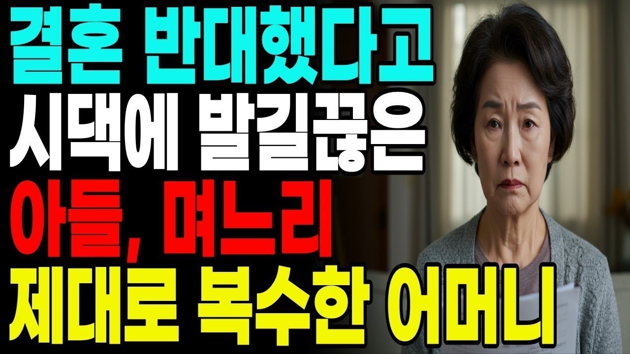 결혼 반대했다고 시댁에 발길 끊은 아들, 며느리 제대로 복수한 어머니 부모자식 고부갈등 노후사연 노년 자금 오디오북