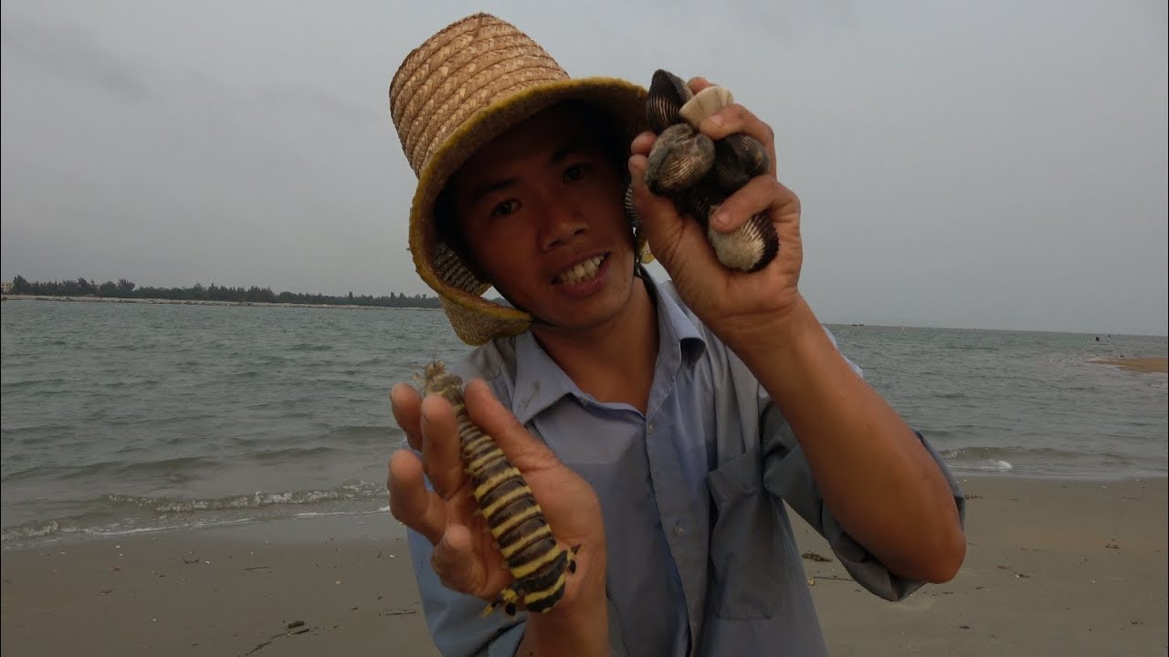 石头上密密麻麻的青口，海螺捡到不想捡，遍地都是海鲜，太过瘾了