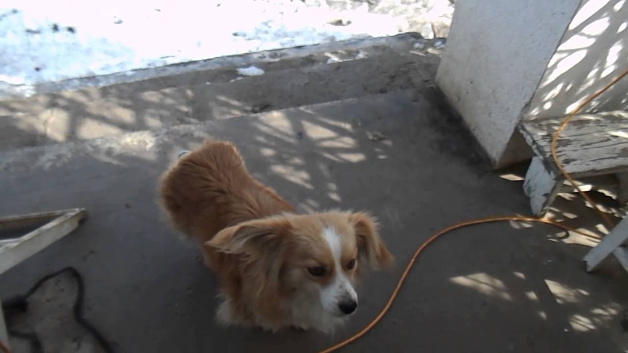 DSCN3322