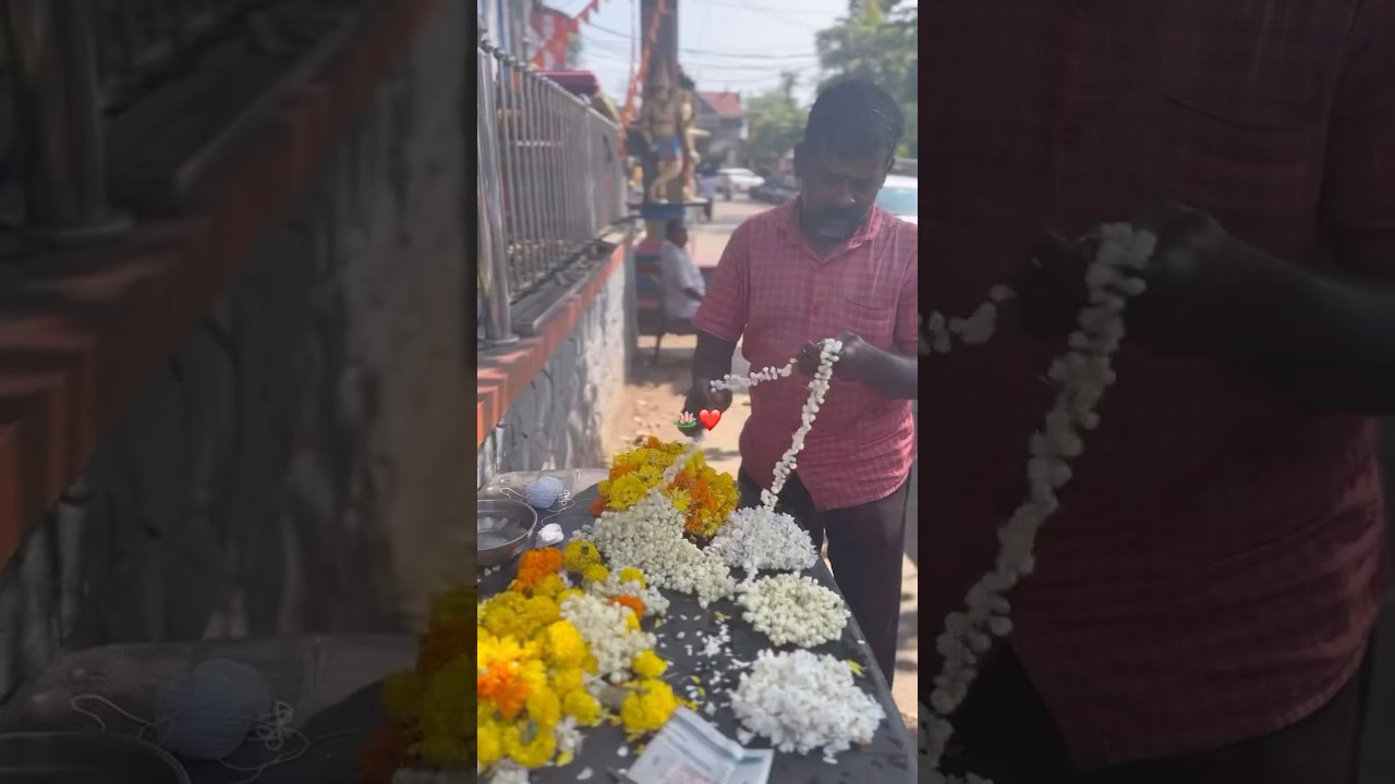 അമ്പലപ്പുഴ🪷